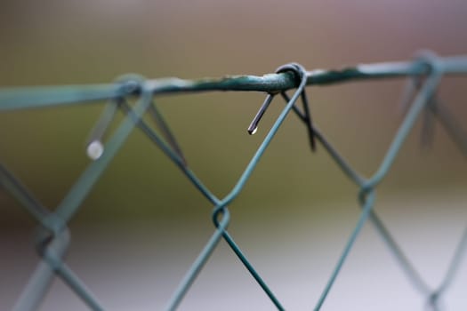 Close up of a broken metal wire fence showing sharp edges and twisted wires.