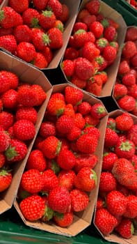 Fresh Strawberries in Carton Trays at a Market Display. Bright and fresh strawberries neatly placed in cartons, showcasing their vibrant red color and green tops, ideal for markets or food presentations.