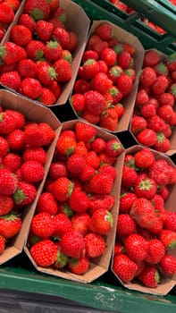 Fresh Ripe Strawberries in Eco-Friendly Cardboard Packaging Arranged for Display. Vivid and healthy ripe strawberries displayed in eco-friendly cardboard containers, emphasizing natural freshness, sustainability, and vibrant colors, ideal for food and lifestyle concepts or vivid culinary depictions.