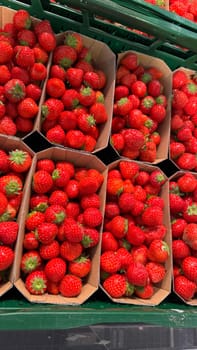 Freshly Packed Strawberries in Cardboard Trays at a Market Stand. Vibrant red strawberries in cardboard boxes beautifully packed and displayed at a local market, showcasing freshness and quality.