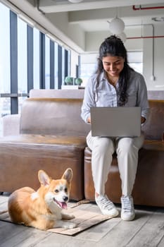 Young latin businesswoman using laptop and working near her pet welsh corgi pembroke dog in a modern office