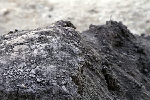 of soil or land. producing or capable of producing abundant vegetation or crops