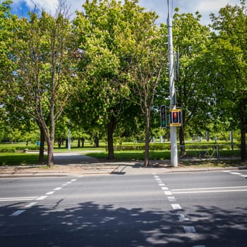 Shot of the signal light at the pedestrian crossing