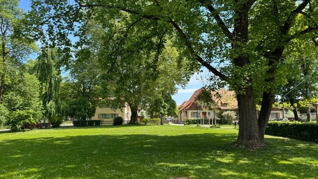 Tranquil Suburban Park With Lush Green Trees and Modern Houses. A peaceful park scene featuring vibrant green trees, open grassy spaces, and charming suburban houses, exuding a tranquil and inviting atmosphere that evokes a sense of serenity and community.