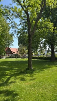 Sunlight filtering through lush green trees casts shadows on a well-maintained park lawn. A traditional building in the background enhances the cozy and serene outdoor environment.