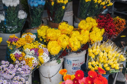 Variety of plants and flowers at local city flower market,. Nha Trang, Vietnam - December 13, 2024.