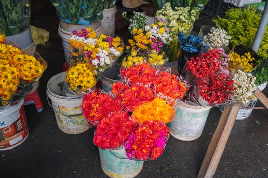 Variety of plants and flowers at local city flower market,. Nha Trang, Vietnam - December 13, 2024.