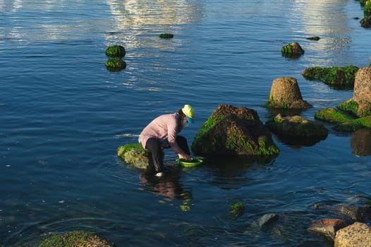 Asian woman harvest seaweed in the sea at beach in Asia. Nha Trang, Vietnam - April 21, 2025