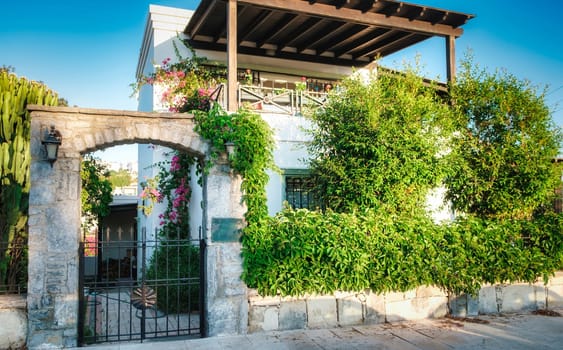 View of a Beautiful House Exterior a on a Turkey Street, lots of greenery, trees, flowers, good for living, eco-friendly, beautiful architecture. download image
