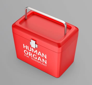 Human organ transport box on grey background