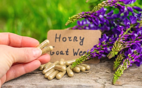 Horny goat wood extract alternative medicine. Selective Focus. nature.