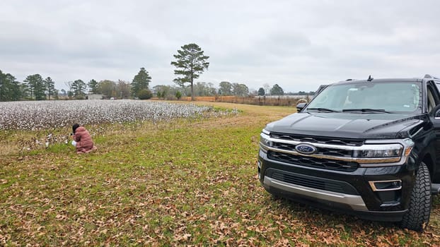 Chancellor, AL USA - 12.26.2024: Exploring Rural America Woman in Cotton Field with Vehicle on Overcast Day, Serene Landscape.