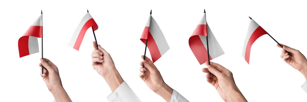 The Poland flag in hand in different angles on a white background.