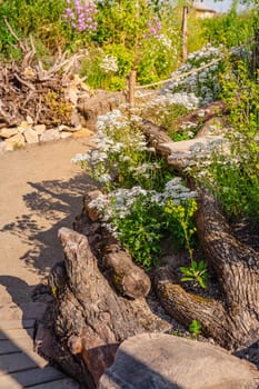 Natural garden with native plants, brushwood wall and gravel path