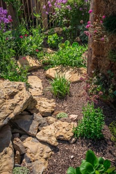 Beautiful landscaped natural garden with plants, succulents, rocks and stones.