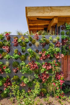 Green house fence with planting plants on the wall. Vertical gardening.