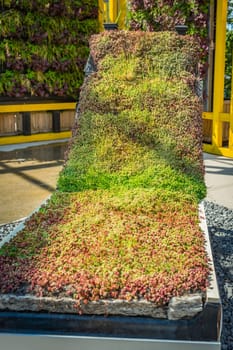 Example of extensive rooftop garden in a garden shop