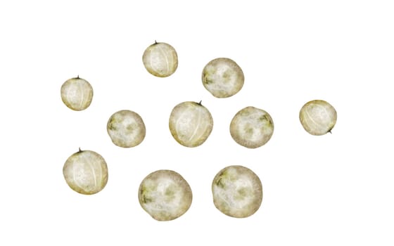 White peppercorns watercolor. Hand drawn dried pepper. Clip art on a white background of hot spices. Ideal for cookbooks, menus and organic product packaging. High quality photo