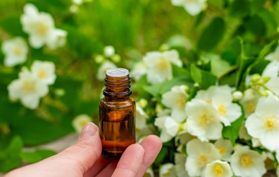 Jasmine essential oil and flowers. Selective focus. nature.