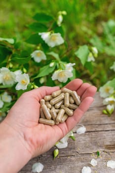 Jasmine essential oil and flowers. Selective focus. nature.