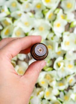 Jasmine essential oil and flowers. Selective focus. nature.