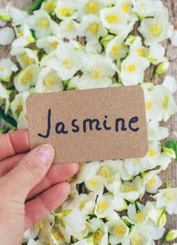 Jasmine essential oil and flowers. Selective focus. nature.