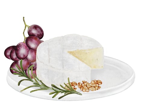 Cheese watercolor on a plate. Hand drawn piece of soft cheese with grapes, walnuts and rosemary. White brie or camembert Italian, French soft cheese. Exquisite snack for wine. Clip art food realism. Ideal for farm organic dairy product packaging and restaurant menu design. High quality photo