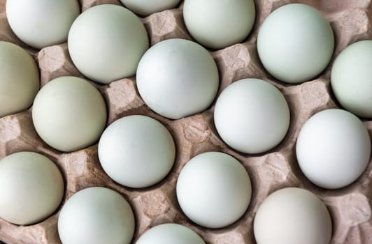 Light blue and greenish araucana chicken eggs neatly arranged in a brown recycled cardboard egg carton, concept fresh, dietary product, ready to eat,
