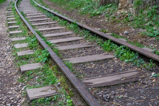 Two sets of railroad tracks diverge in a grassy, wooded area. The tracks curve to the left and the right.