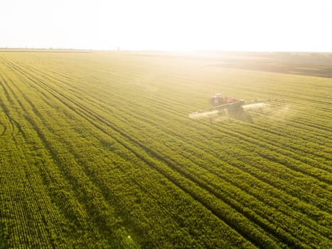 tractor spraying crops with pesticides or fertilizers on a green field during golden hour