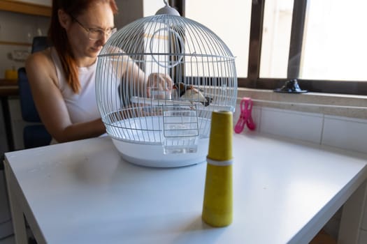 Woman changing water inside small bird cage, taking care of beautiful parrot