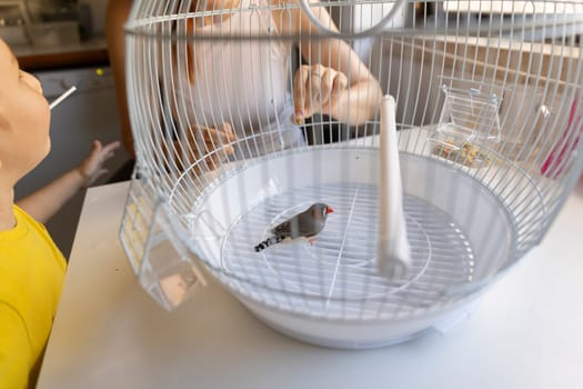 Woman feeds a zebra finch in its cage while a child looks on, creating a heartwarming scene of family and pet interaction