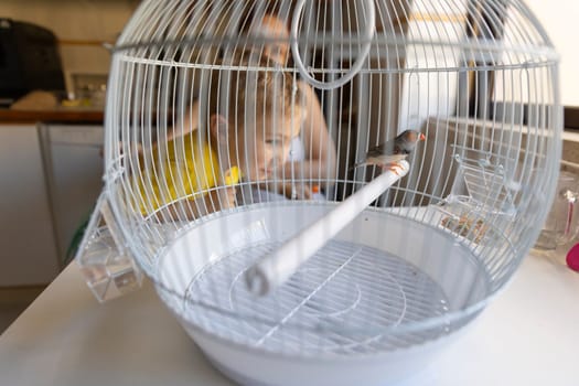 Two kids observing a beautiful zebra finch perched inside its round white cage