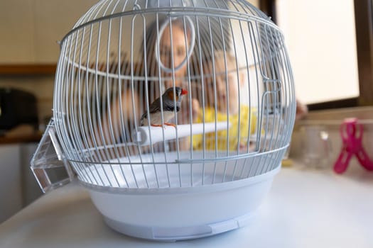 Small zebra finch perched in its cage while a mother and child observe the bird in a home setting
