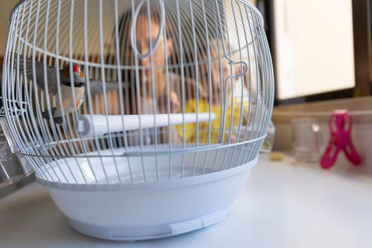 Small zebra finch flying in its round white cage, with blurred children playing in the background