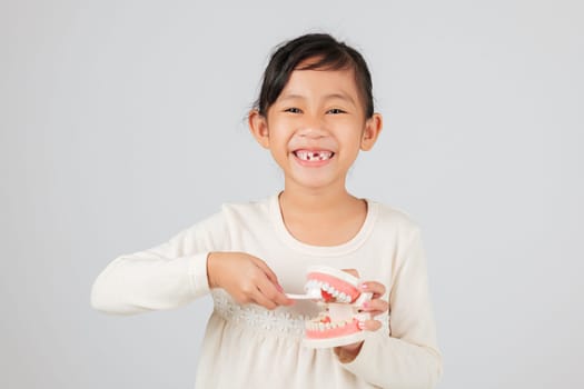 Dentist teaches Asian kid about tooth loss, holding toothbrush and teeth model. Girl smiles with gap, showing healthy dental habits and missing milk teeth. isolated white background