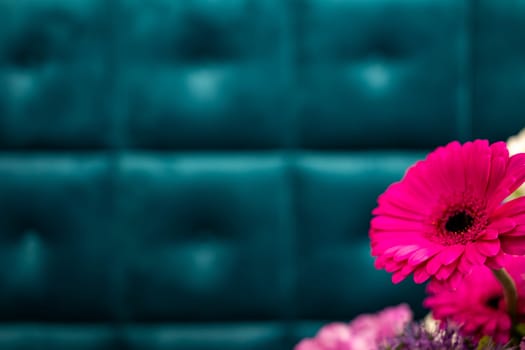 Bright pink gerbera daisies and purple blooms are arranged on a table in a charming cafe. The deep blue tufted backdrop adds a cozy, inviting atmosphere to the setting.