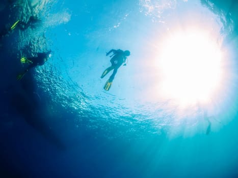 group of divers diving towards the sea surface with sun rays shining from the surface, concept of scuba diving and underwater adventure
