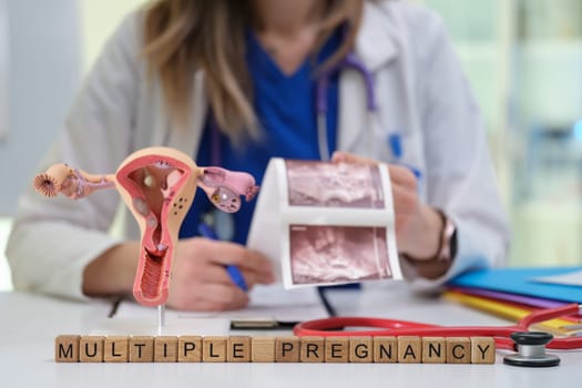 A healthcare professional discusses multiple pregnancies using detailed anatomical models as visual aids