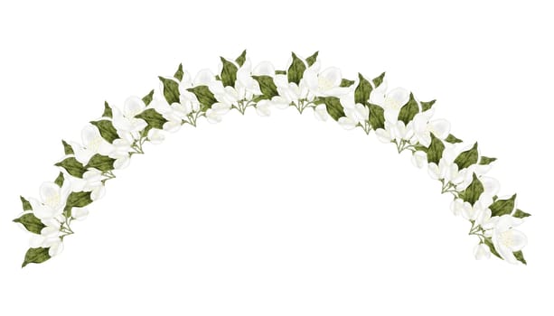 Jasmine white flower watercolor arch. Hand drawn bud delicate. Clip art botanical on white background. Ideal for logo of tea and aromatic products from jasmine. High quality illustration