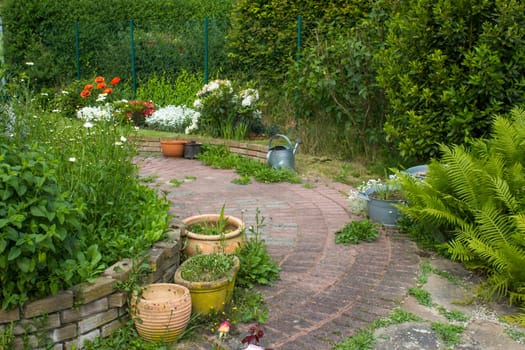 rustic garden -  fern, flowers and herbs