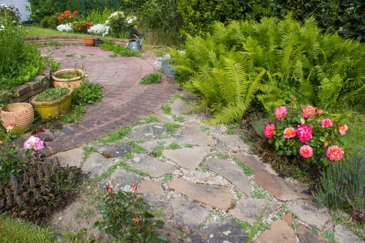 rustic garden -  fern, flowers and herbs