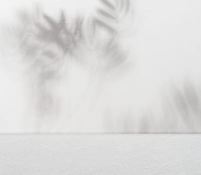 Light concrete wall and floor with shadows from plant leaves creating a natural background