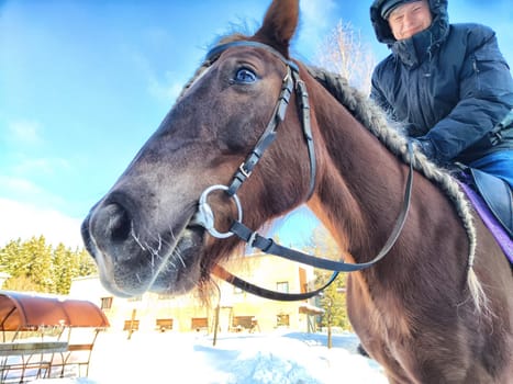 A man is riding a brown horse in a snowy environment. The sun shines brightly, and the backdrop features trees and buildings, creating a serene winter atmosphere.