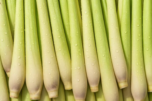 AI generated top view of fresh lemongrass stalks with water droplets under daylight showing vibrant color cleanliness and aromatic appeal perfect for food health and herbal themed visuals