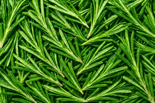 AI generated top view of fresh rosemary with water droplets reflecting daylight Fresh vibrant clean look ideal for food natural lifestyle or wellness themes
