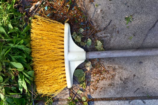 an implement consisting of a sponge or a bundle of thick loose strings attached to a handle