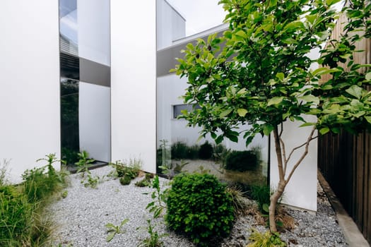 In the center of a beautiful garden that is located in front of a tall building, there stands a tall tree providing shade