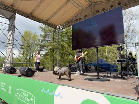 Moscow, Russia, April 27, 2025: Nord Boss, French Bulldog influencer, joins musicians on stage during the French Bulldog Parade in Vorontsovsky Park, adding charm and flair to live performance