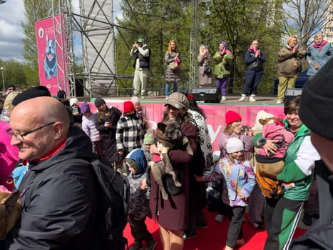 Moscow, Russia, April 27, 2025: Adopted French Bulldogs take part in the parade, proudly carried by their new owners, showing the success of rescue and adoption effort